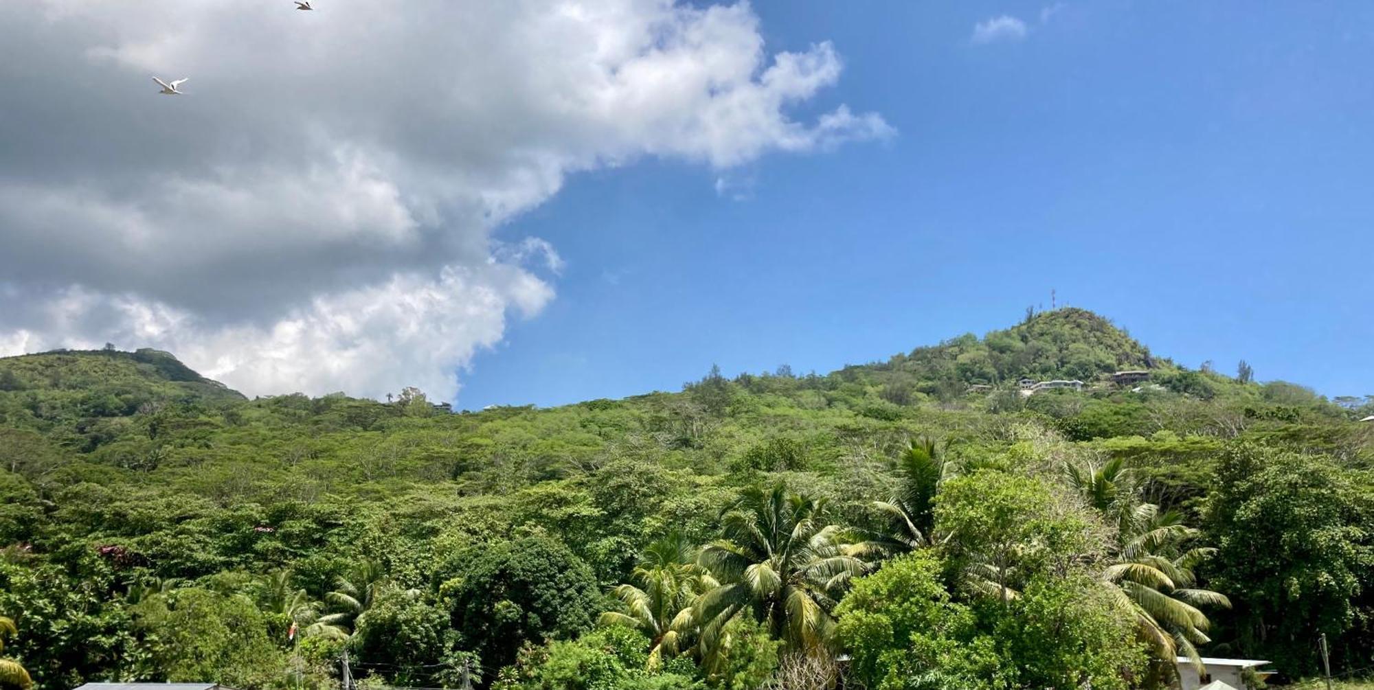La Villa Therese Anse Royale Bagian luar foto